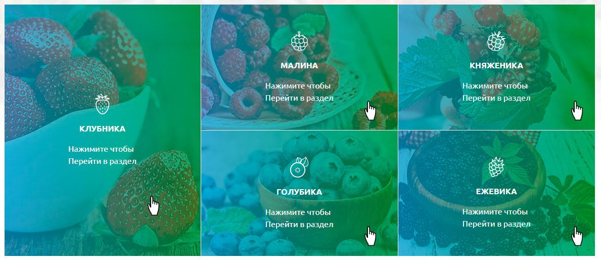 ЯгодаМир - иконки